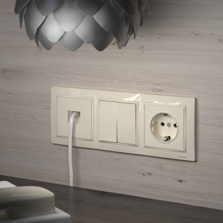 Выключатель двухклавишный (слоновая кость) W1120003 Werkel 732687